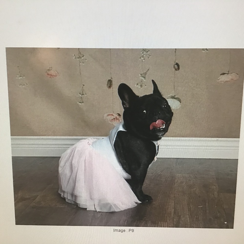 Meet your Posher, Lisa